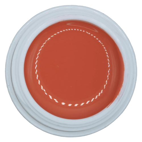 #211 Blushing Salmon 5g - NAM24 UV Farbgel
